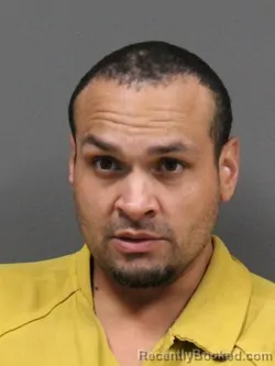 Booking photo from DeSoto County, Mississippi