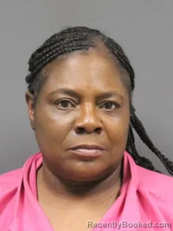 Mugshot of JIMMIE DENISE ROSE JOHNSON