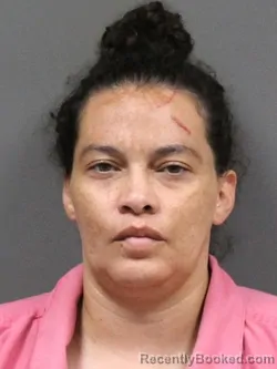 Mugshot of Jessica N Kizziah booked in DeSoto County, Mississippi on July 31, 2026