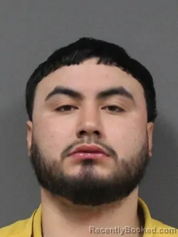 Booking photo from DeSoto County, Mississippi