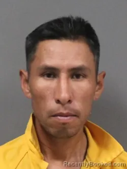 Mugshot of JOSE DANIEL SALAZAR
