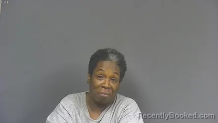 Mugshot of Joanne Sykes booked in DeSoto County, Mississippi on July 28, 2026