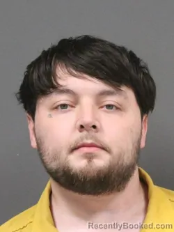 Mugshot of JUSTIN TANNER TRUELOVE booked in DeSoto County, Mississippi on March 25, 2026