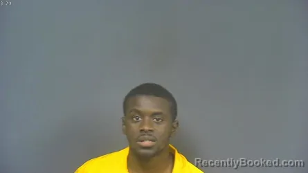 Mugshot of JADRIEN WILLIAMS