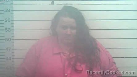 Mugshot of KIMBERLY ANN COOK