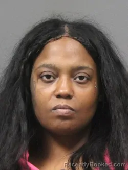 Mugshot of KATRINA L DUNLAP booked in DeSoto County, Mississippi on March 27, 2026