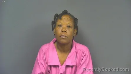 Mugshot of KIMBERLY M JOHNSON