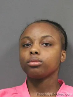 Mugshot of KAITLIN NICOLE STEPHENS booked in DeSoto County, Mississippi on March 26, 2026