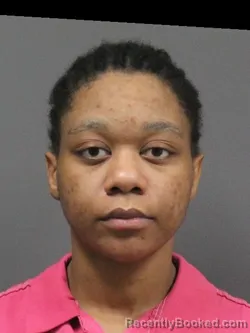 Mugshot of LASHAWN BELL