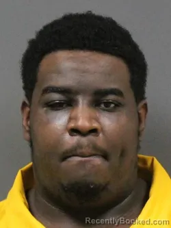 Booking photo from DeSoto County, Mississippi