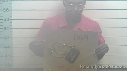 Mugshot of LATERRICA S LOVELADY