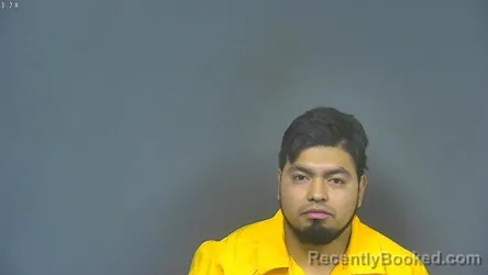 Booking photo from DeSoto County, Mississippi