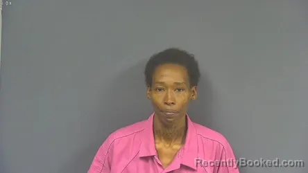 Mugshot of LASHUANDRA LASHAE MCNEAL booked in DeSoto County, Mississippi on March 24, 2026