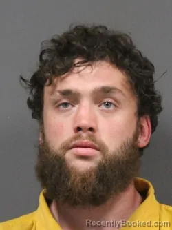 Mugshot of LEVI R TERRY booked in DeSoto County, Mississippi on March 21, 2026