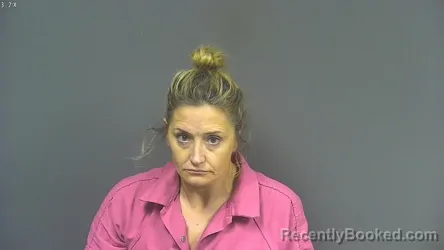 Mugshot of LINDSEY GAYLE VROOMAN