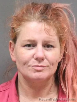 Mugshot of LAUREN BROOKE WILSON booked in DeSoto County, Mississippi on March 23, 2026