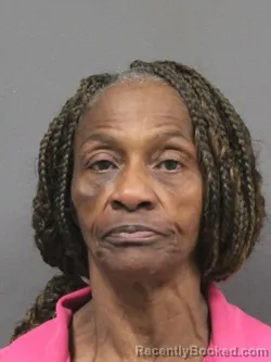 Mugshot of MARY ANN HOLLOWAY