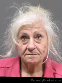 Mugshot of MICHELLE MURPHEY LOGAN booked in DeSoto County, Mississippi on March 29, 2026