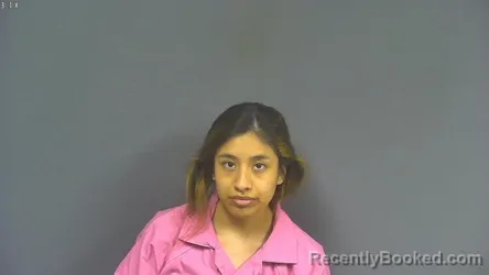 Mugshot of MARLENE X PEREZ