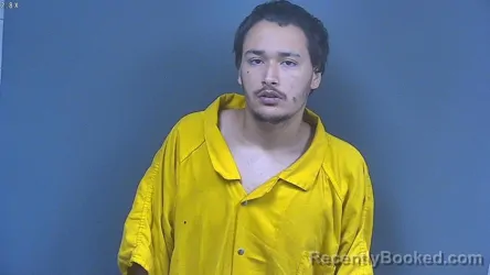Mugshot of MICHAEL ANTHONY WARD booked in DeSoto County, Mississippi on June 29, 2026