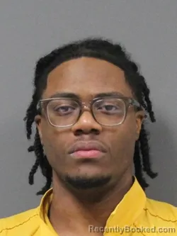 Mugshot of MEKHI VET WHITE
