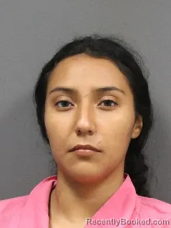 Mugshot of Nataly Betancourt booked in DeSoto County, Mississippi on August 21, 2026