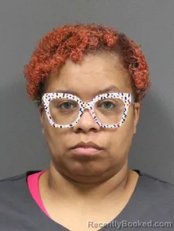 Mugshot of NICOLE SHANTE HALL