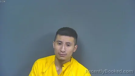 Mugshot of OTTONIEL GARCIA NAJERA