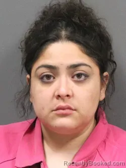 Mugshot of Paola J Gracia booked in DeSoto County, Mississippi on October 3, 2026