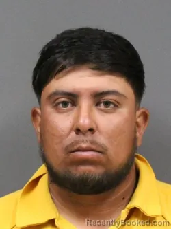 Mugshot of RAIDEL ALVARADO booked in DeSoto County, Mississippi on June 7, 2026