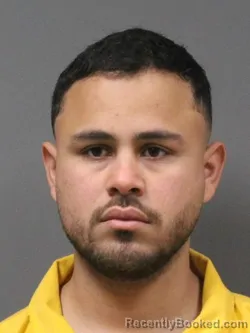 Mugshot of RICARDO JOSE BORREGO HERNANDEZ
