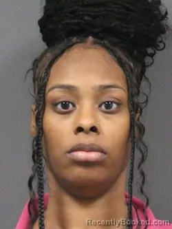 Mugshot of RAVEN LESHAE BROWN