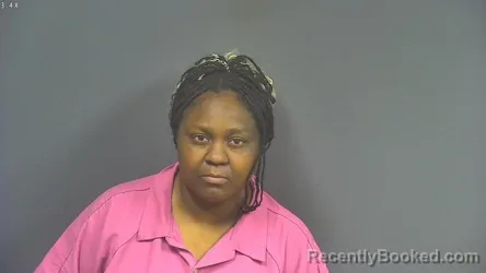 Mugshot of Raychelle Nicole Baines booked in DeSoto County, Mississippi on August 4, 2026