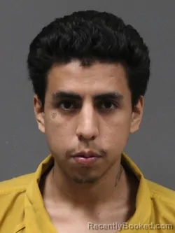 Mugshot of RURY CASTILLO GARZA