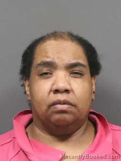 Mugshot of RENEE DENISE HARRIS booked in DeSoto County, Mississippi on March 24, 2026