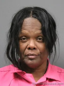 Mugshot of ROXANNE ROBINSON booked in DeSoto County, Mississippi on June 14, 2026