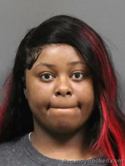 Mugshot of Shaniya Ray Echols booked in DeSoto County, Mississippi on August 26, 2026