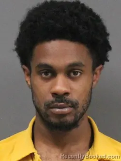 Mugshot of STEVEN LAWRENCE WREN