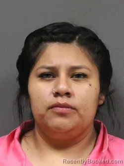 Mugshot of SHANTERIA L WILLIS