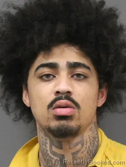 Mugshot of TERRANCE ANTONIO DAVIS