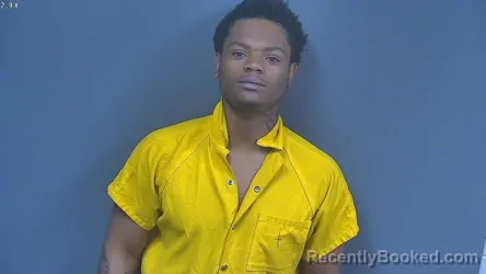 Mugshot of TRANDLEN LANARD KING booked in DeSoto County, Mississippi on June 24, 2026