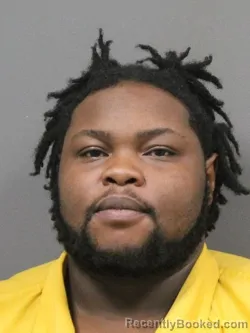 Mugshot of TIMOTHY LANG