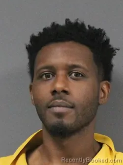 Mugshot of TEVIN TERRELL LOVE