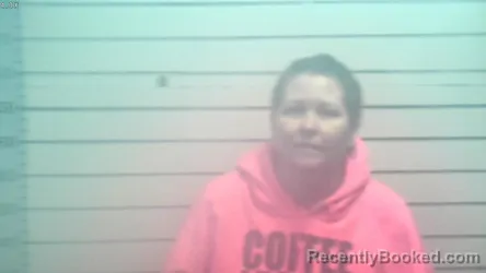 Mugshot of TONYA MCMAHAN