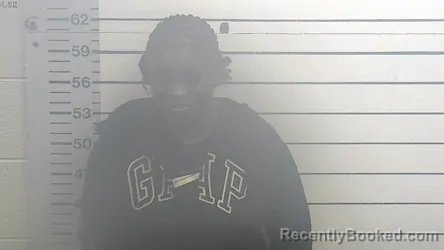 Mugshot of TAMYA LAMER SANDERS
