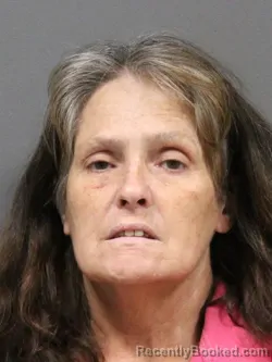 Mugshot of TERESA F WILKINS booked in DeSoto County, Mississippi on May 13, 2026