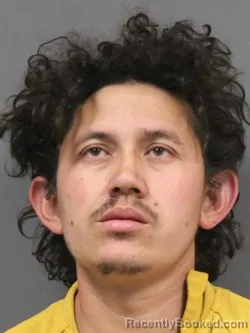 Mugshot of WILMER ANTONIO ARTEAGA ALAS