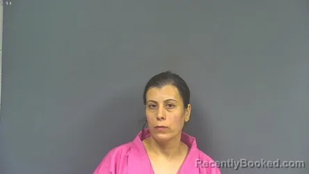 Mugshot of WAFA MOHAMMAD ITAYEM booked in DeSoto County, Mississippi on May 6, 2026