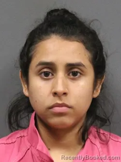 Mugshot of YOSELIN NICOL FUNEZ booked in DeSoto County, Mississippi on April 4, 2026