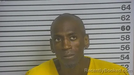 Mugshot of ANTWOINE D ESTERS booked in Forrest County, Mississippi on July 21, 2026